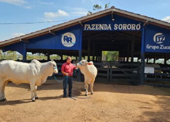 Grupo Zucatelli esteve presente na 22ª Expoitu e numa cavalgada histórica pelas ruas da cidade de Itupiranga